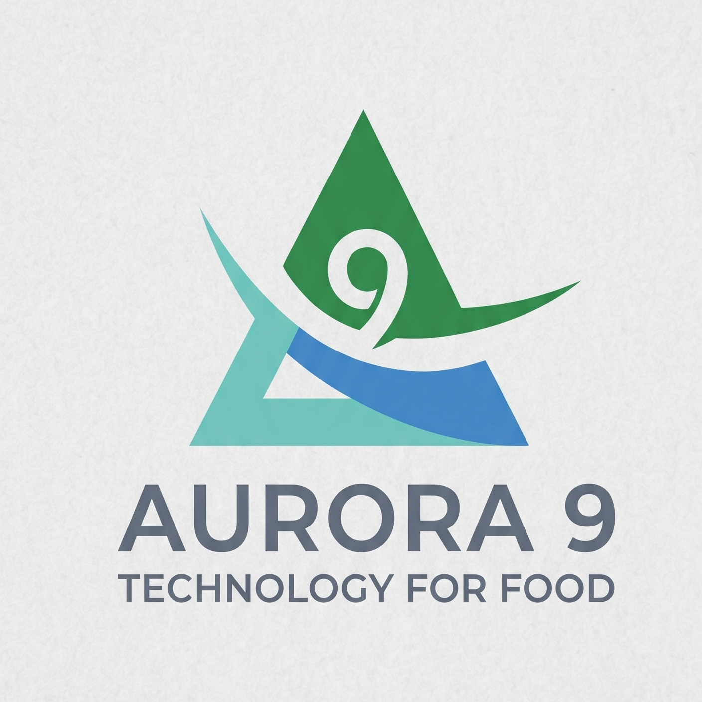 Aurora 9 Logo
